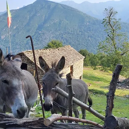 La Casa Del Sentiero Cozy Mountain Cavaglio San Donnino